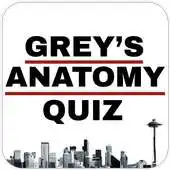 Free play online Grey Anatomy Super Quiz | Only for the biggest fan APK